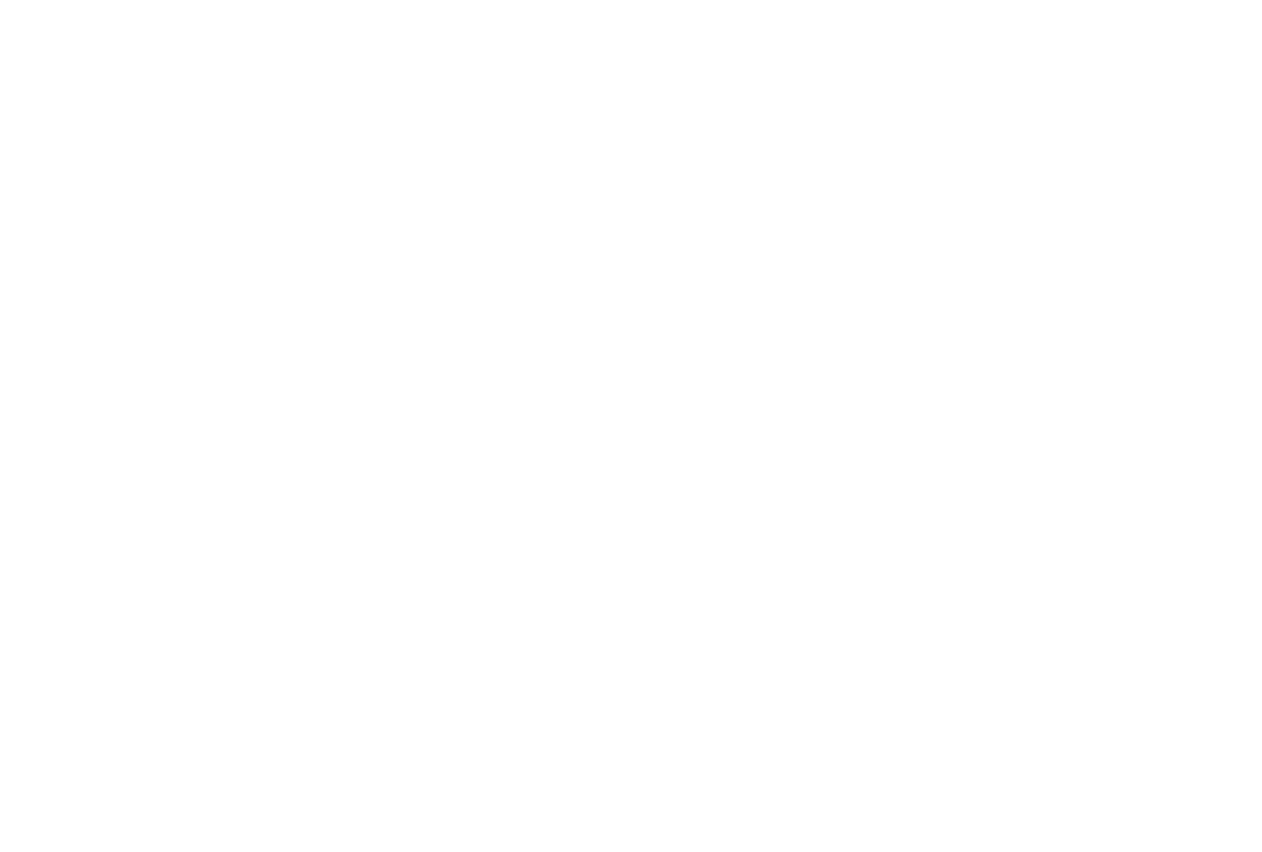 Bergstation Logo
